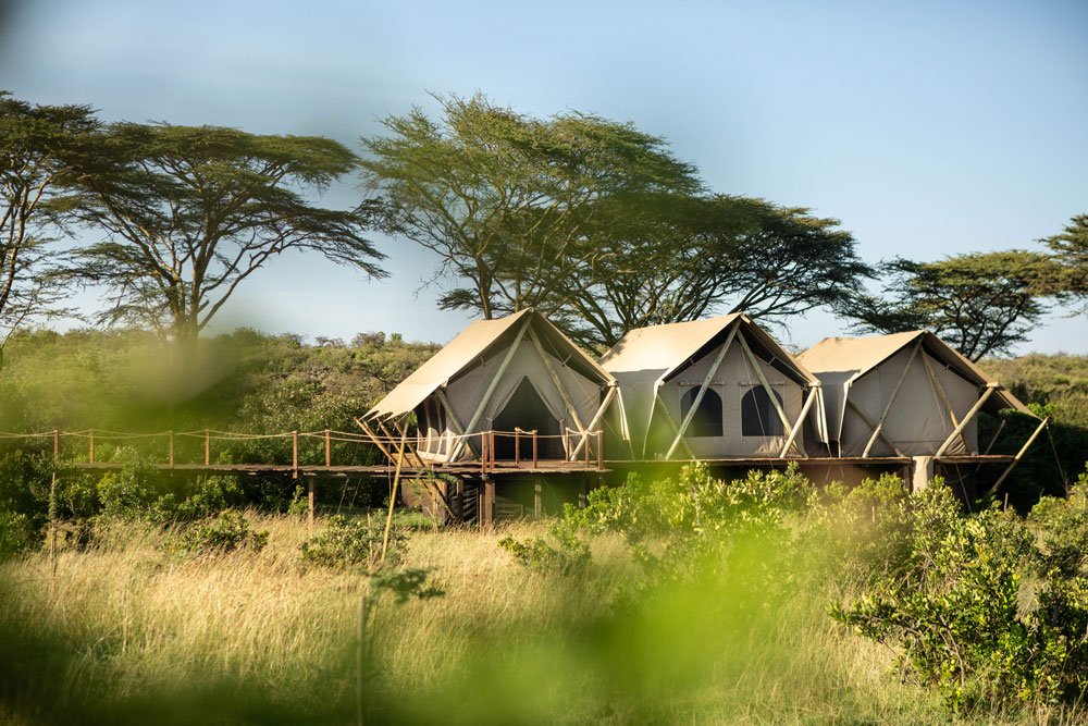 Irungu forest safari lodge